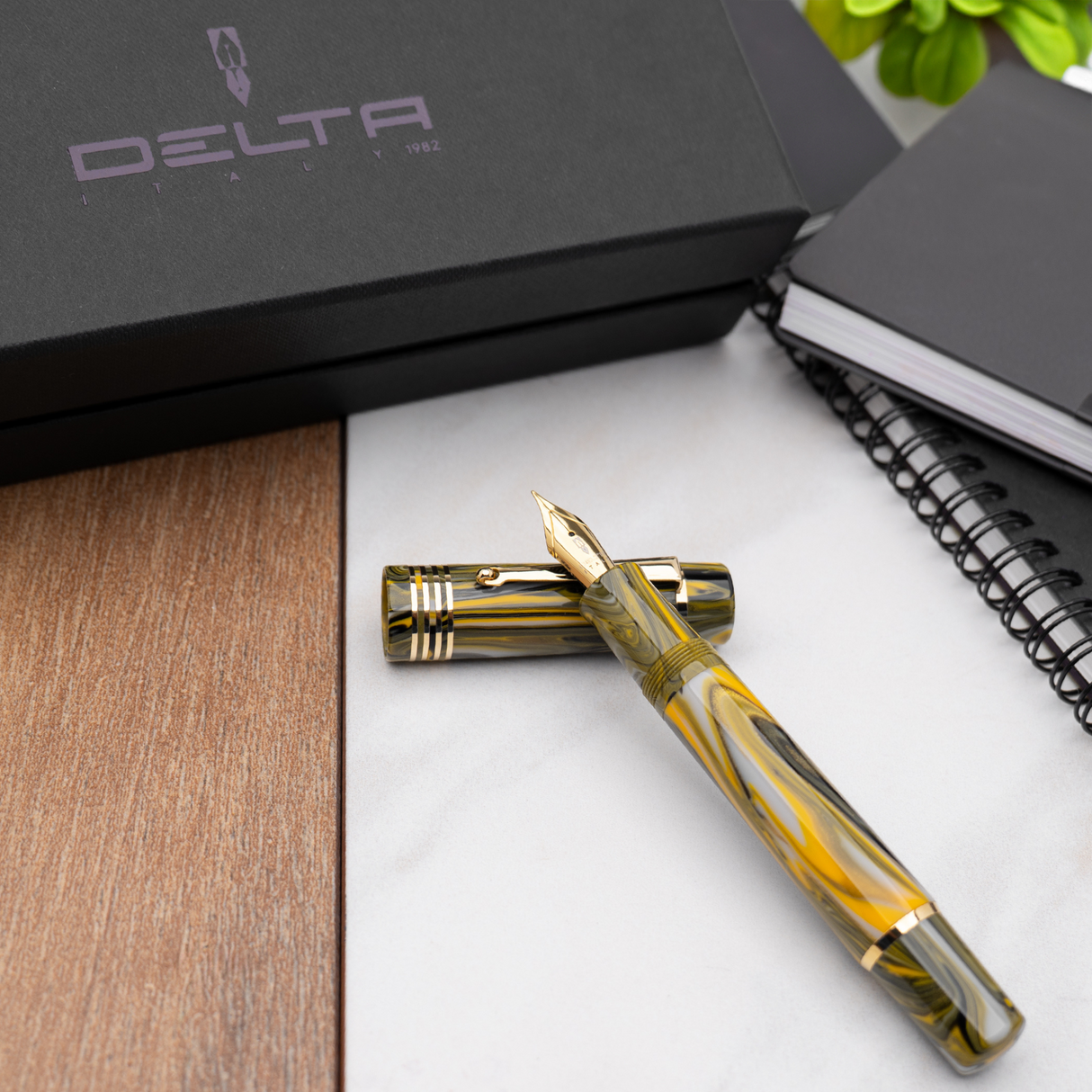 Delta Neo Gallery Marigold Gold Trim Fountain Pen