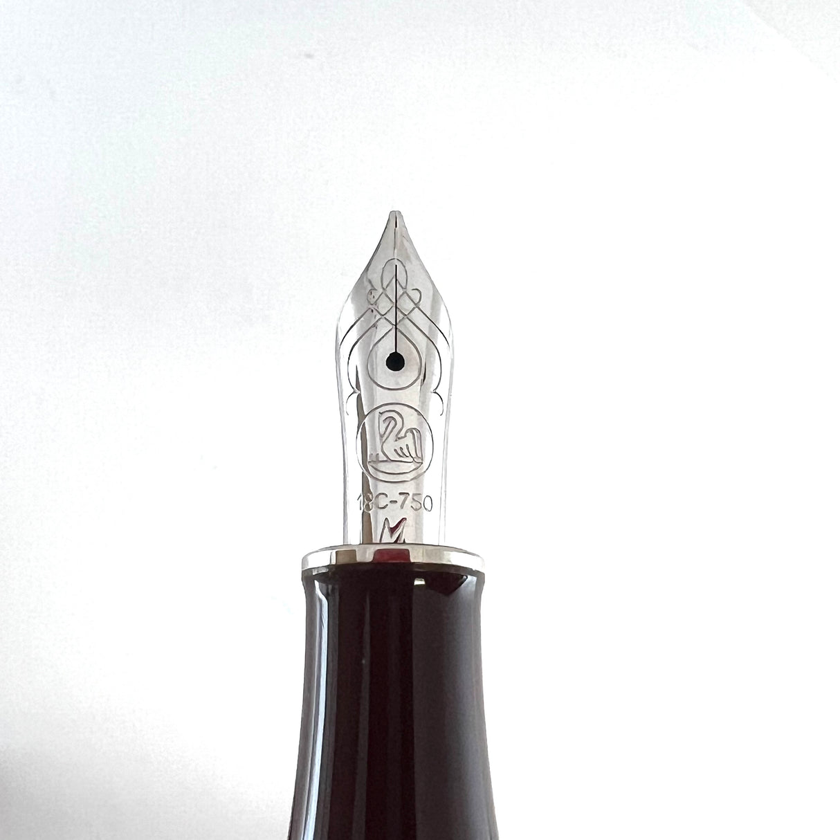 Pelikan M640 Natural Beauty Indian Summer Fountain Pen