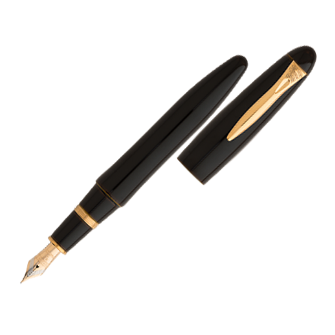 Platinum Izumo Urushi Biwatame (Brown) - Fountain Pen