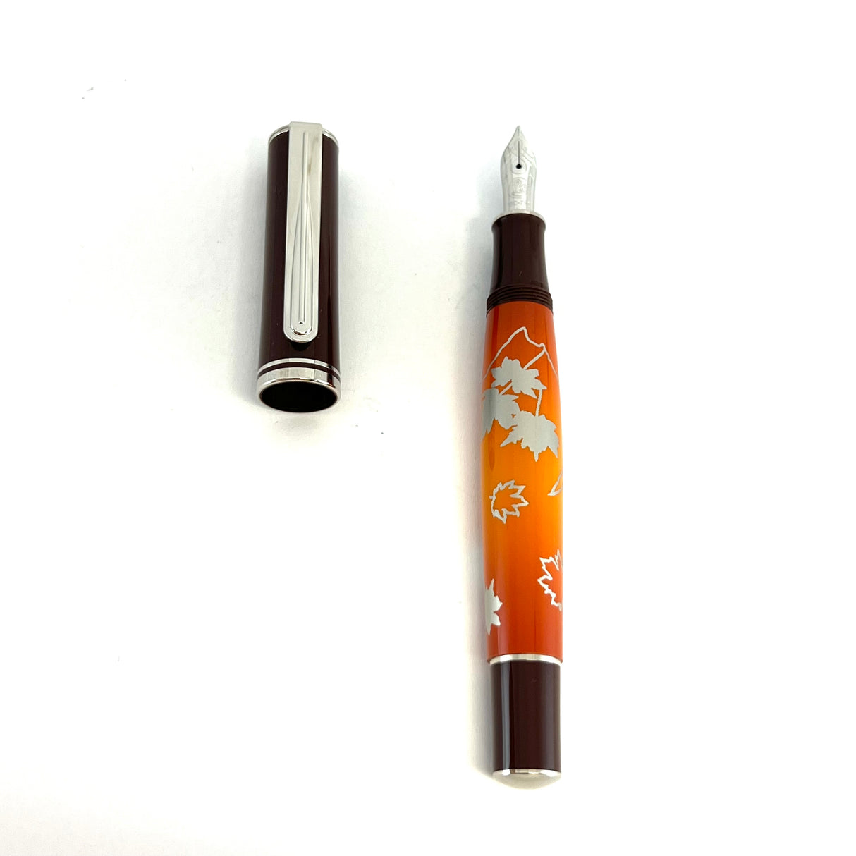 Pelikan M640 Natural Beauty Indian Summer Fountain Pen