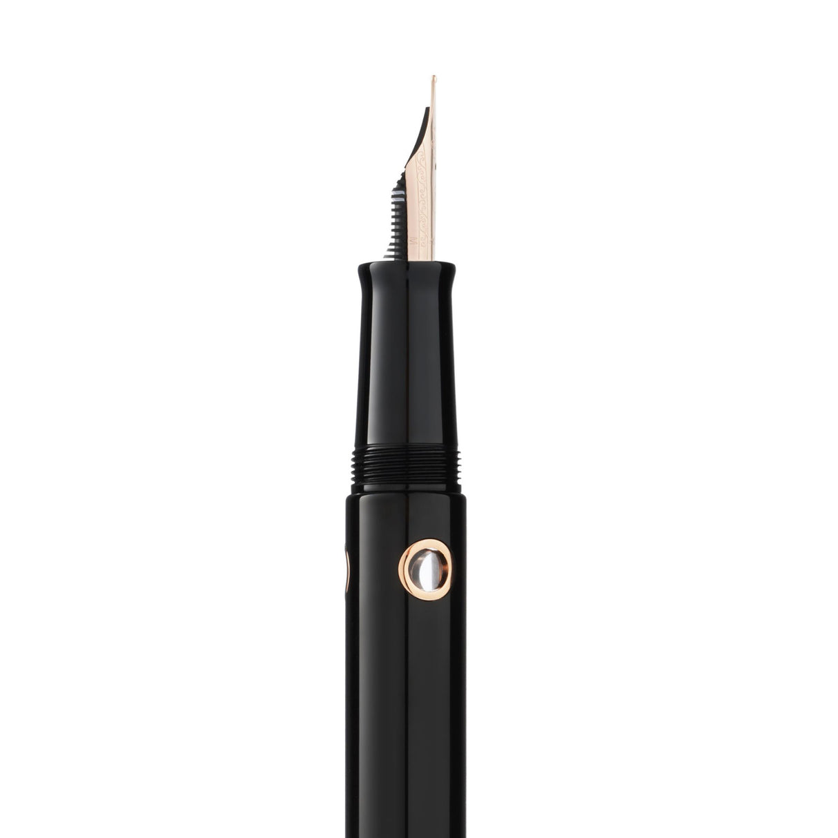 Nahvalur Nautilus Cephalopod Rose Gold - Fountain Pen