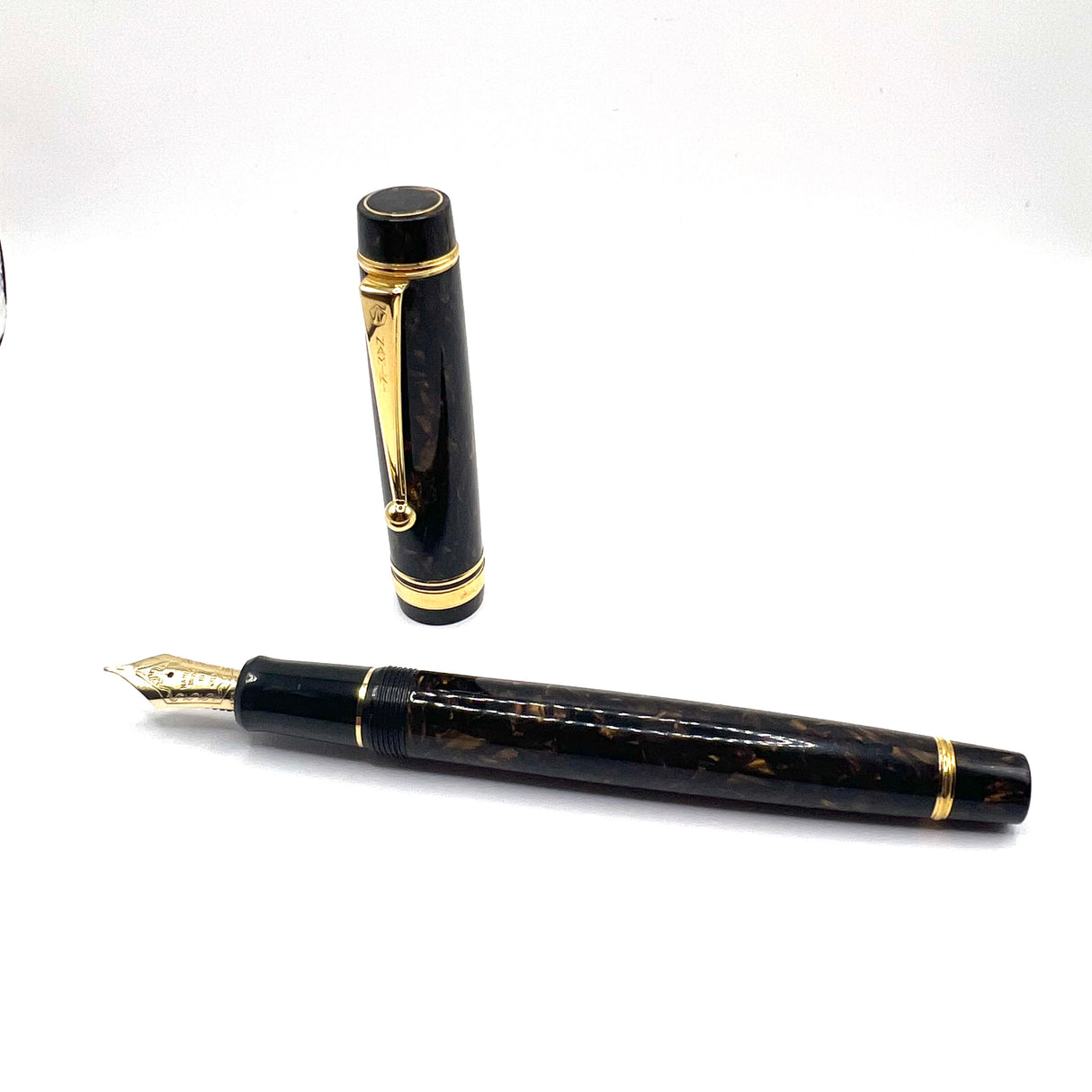 Pilot Namiki Marbled Brown Custom Impressions Fountain Pen