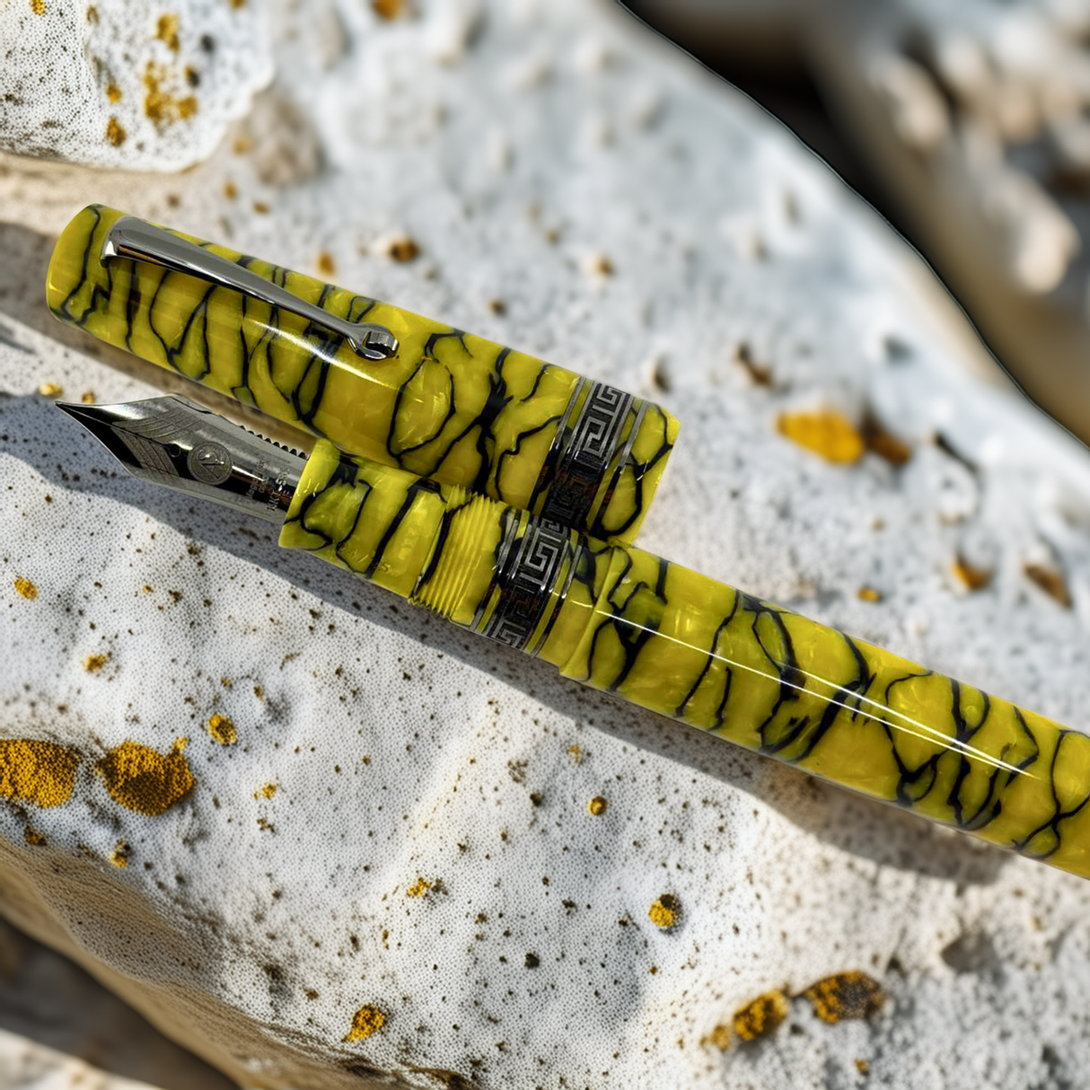 ASC  Bologna Extra Pompeii II Fountain Pen