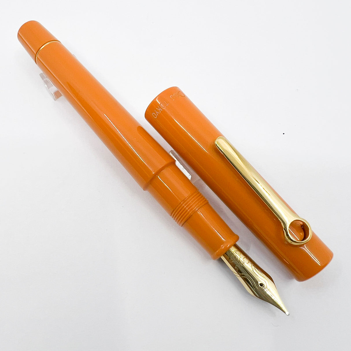 OMAS Tokyo Apricot Orange Vegetal Resin Fountain Pen - Medium 18kt Gold Nib