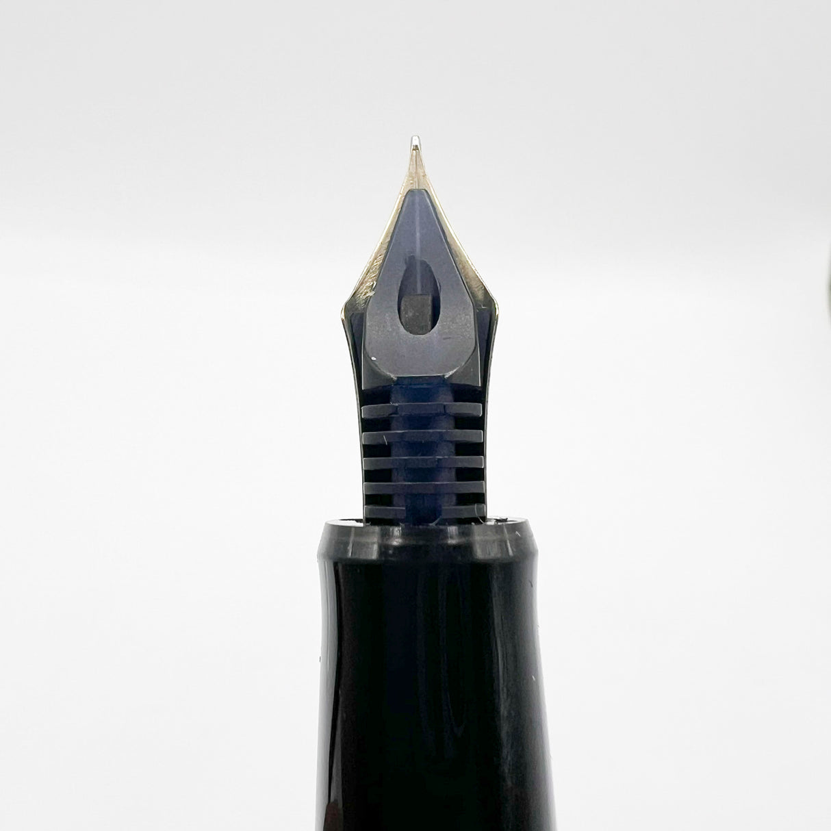 Pilot Namiki Nippon Art Wildflowers Fountain Pen - Fine 14kt Gold Nib