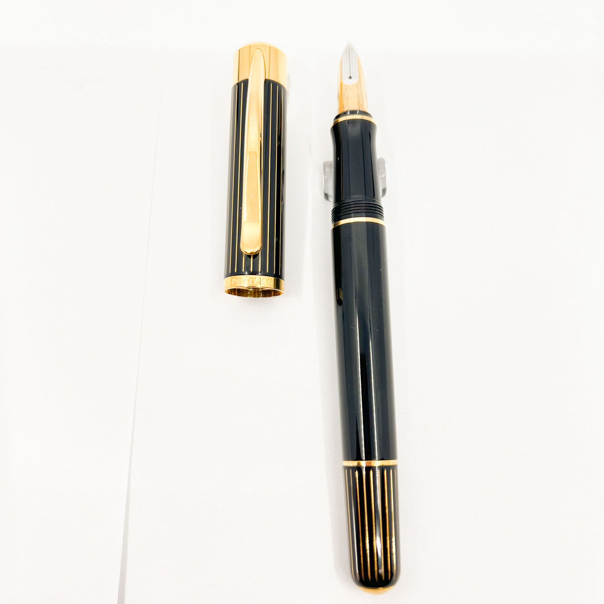 Pelikan M3110 Ductus Fountain Pen
