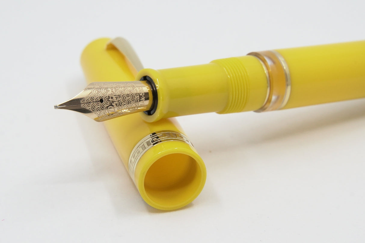 ASC Bologna Portofino Bespoke 2024 Giallo Gold Trim - Special Offer!