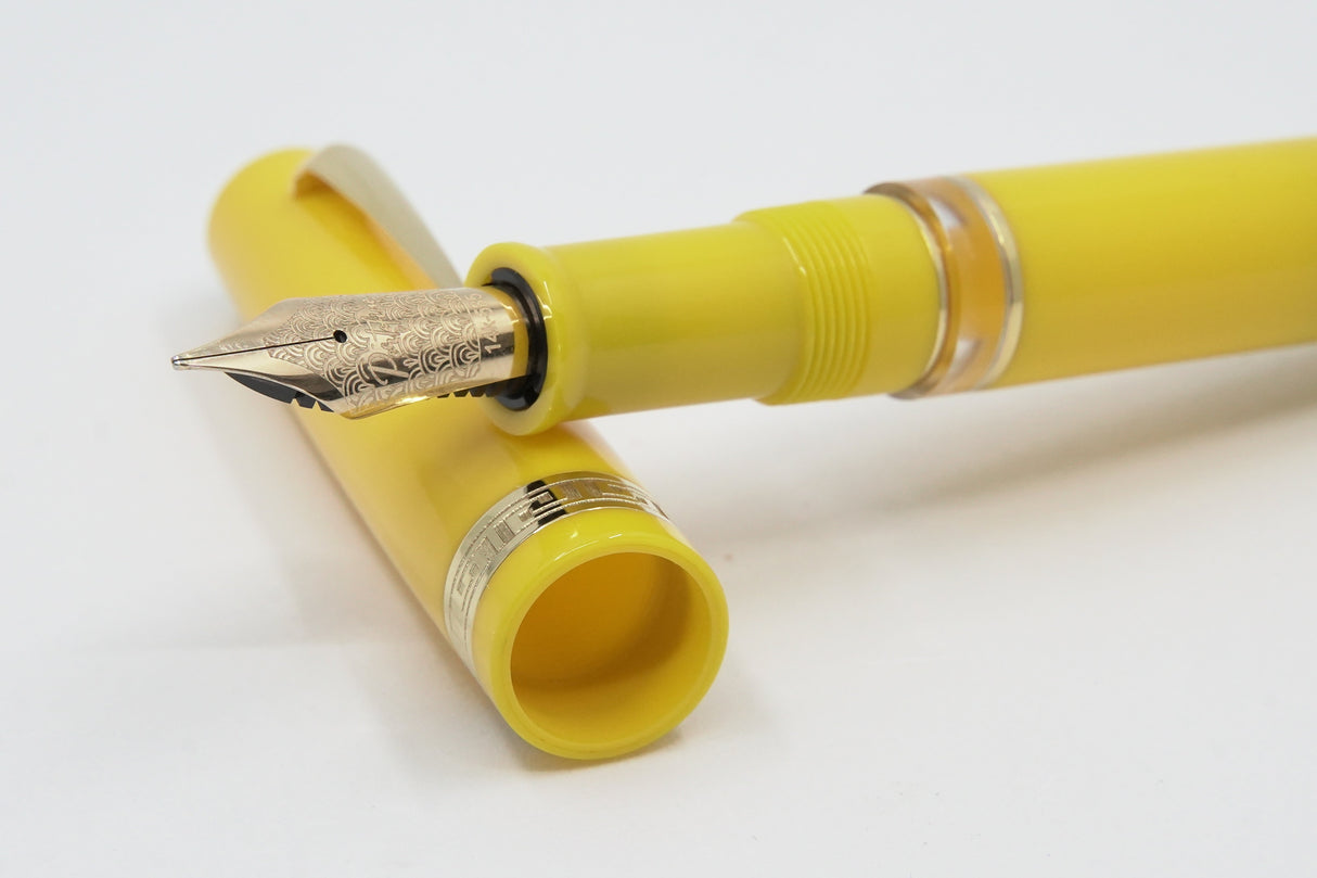 ASC Bologna Portofino Bespoke 2024 Giallo Gold Trim - Special Offer!