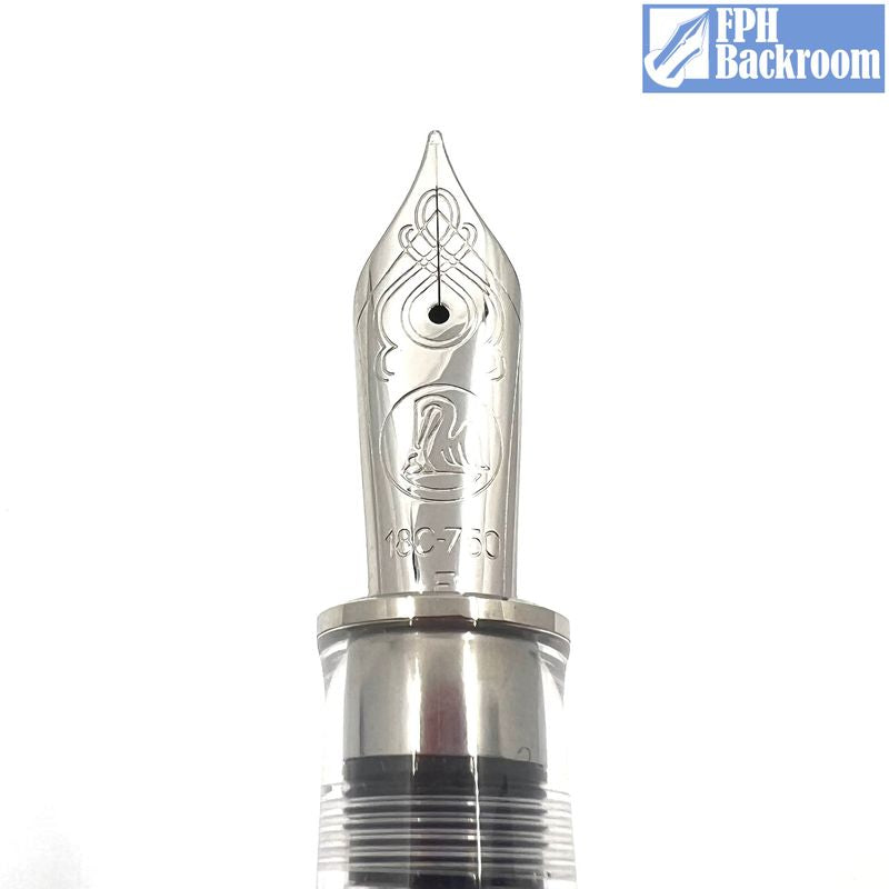 Pelikan M1005 Clear Demonstrator Fountain Pen