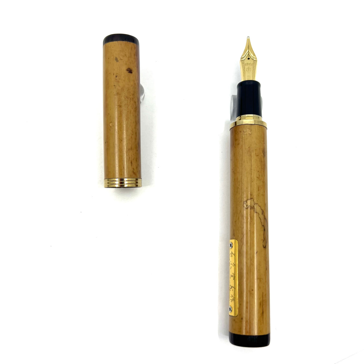 Sailor Susutake Smoked Bamboo Fountain Pen - Naginata Togi 21K RARE King Eagle nib!!