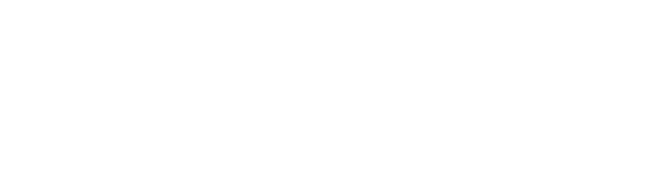 Fountain Pen Hospital