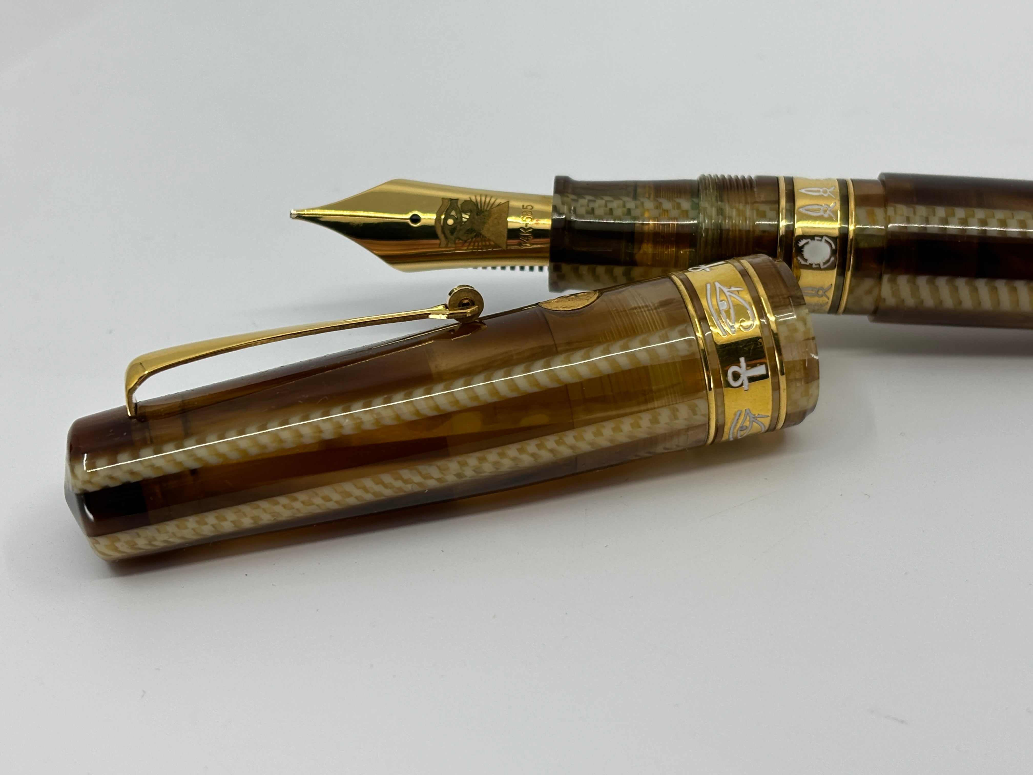 ASC Bologna Extra Egyptian Series - Nefertiti Limited Edition