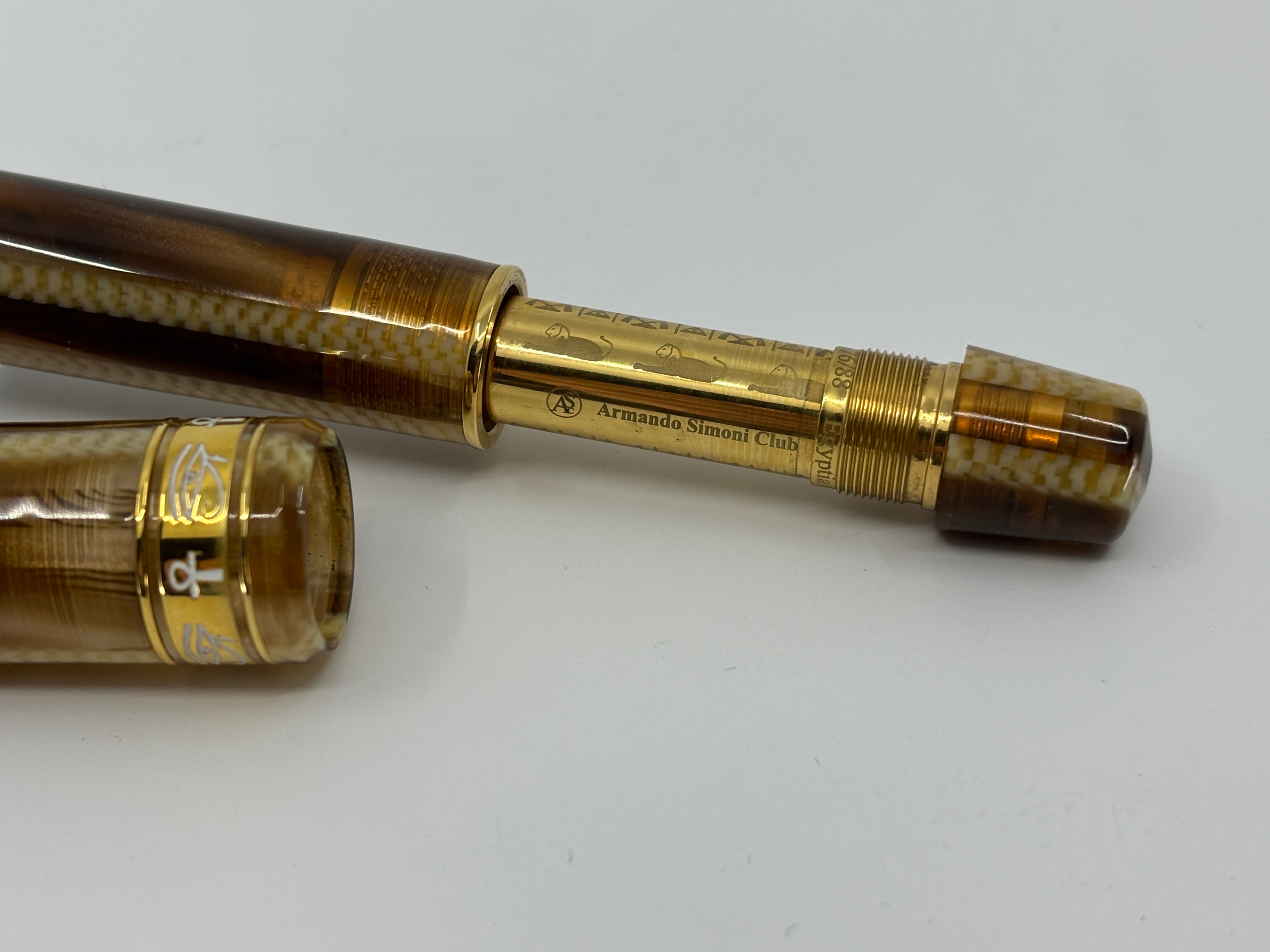 ASC Bologna Extra Egyptian Series - Nefertiti Limited Edition