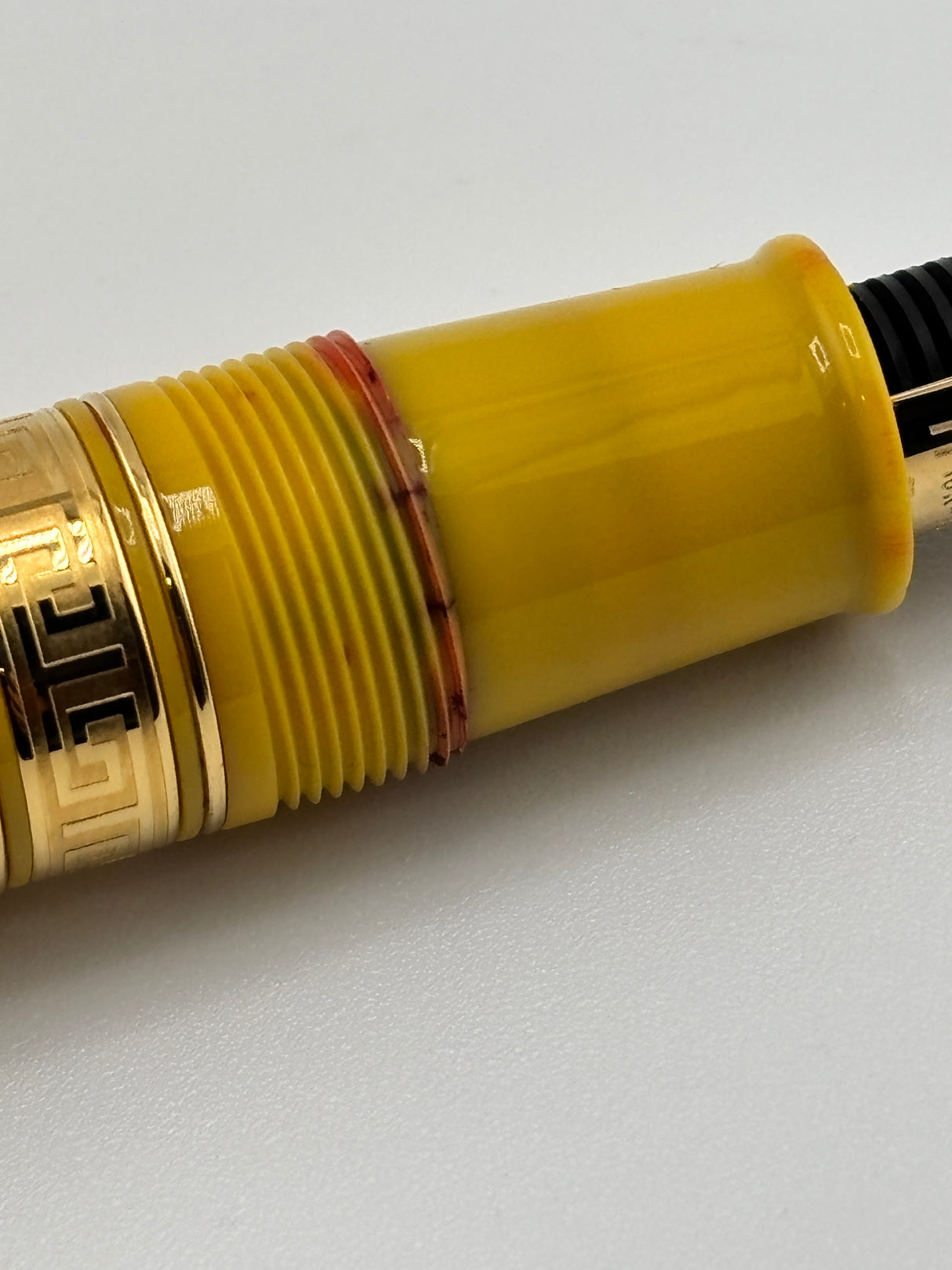 ASC Armando Simoni Cub Bologna Extra Yellow exclusive Bittner CA circa 2019