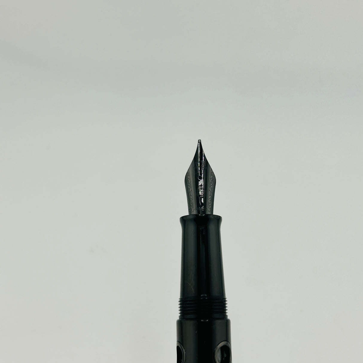Narwhal Nautilus Cephalopod Black - Fountain Pen