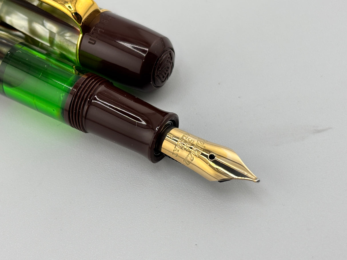 Pelikan M101N Special Edition Brown Tortoise Fountain Pen - Fine 14kt Gold Nib