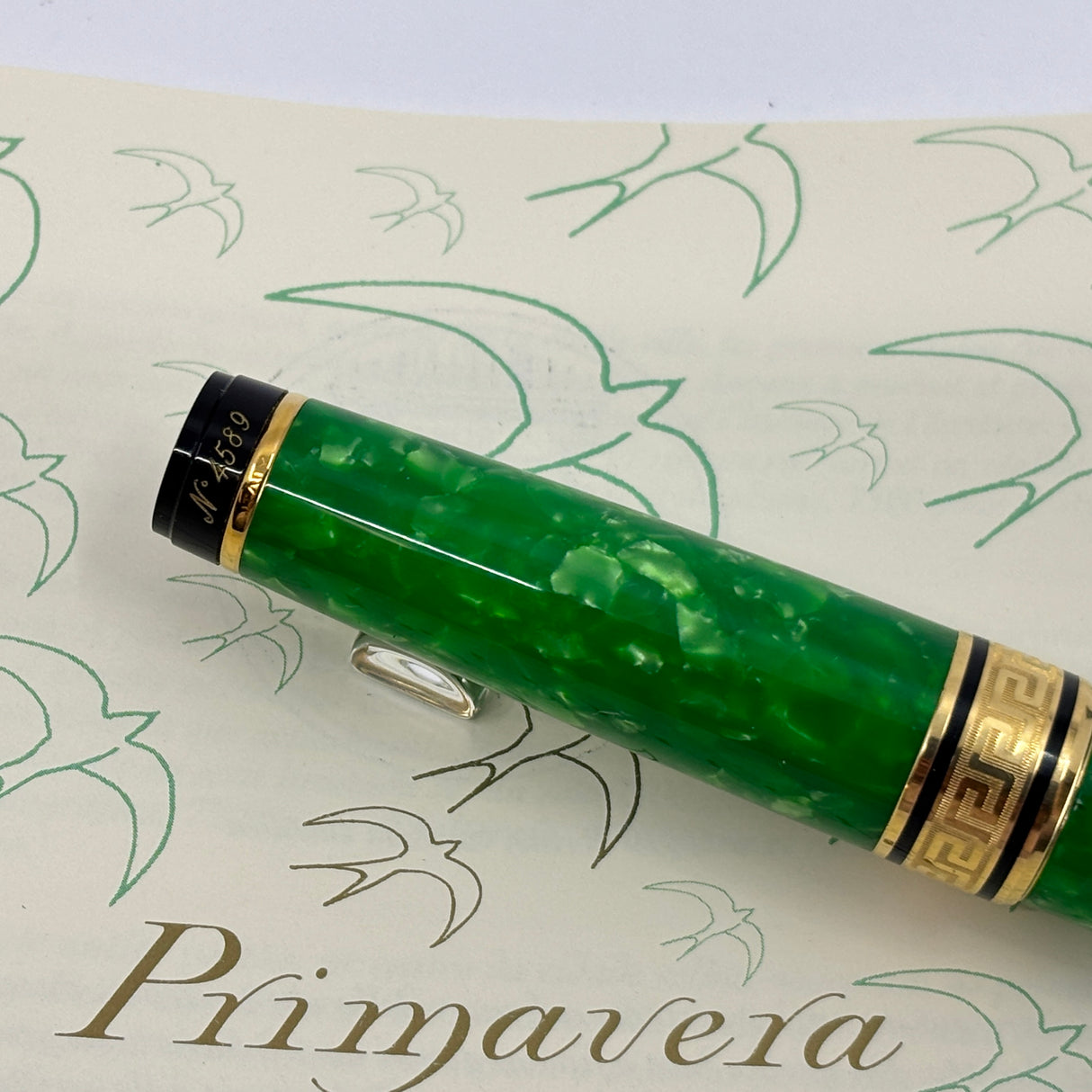 Aurora Verde e Oro Primavera Fountain Pen Limited Edition - Broad 18kt Gold Nib