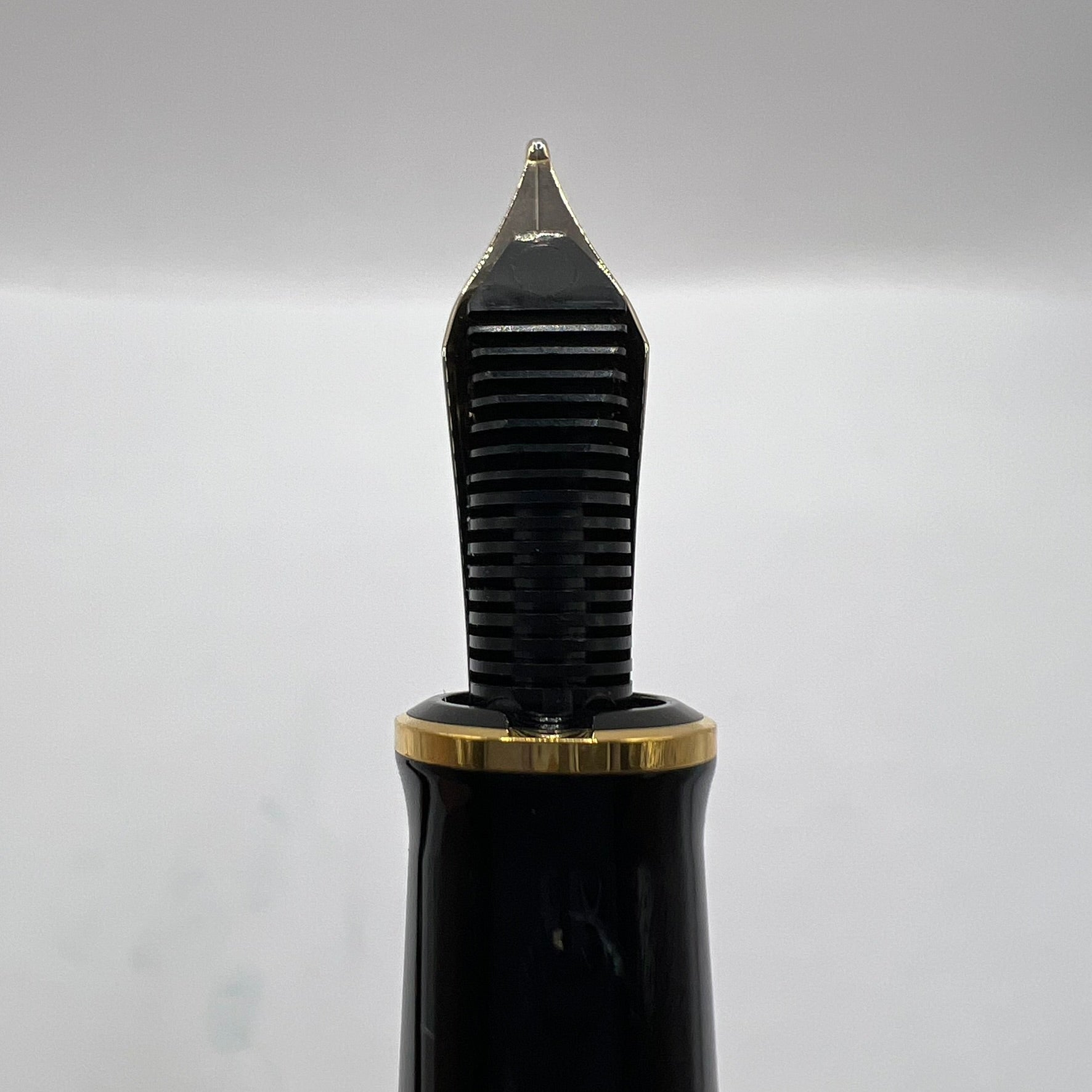 Pelikan M600 Art Collection Glauco Cambon Fountain Pen   - Fine 14kt Gold Nib