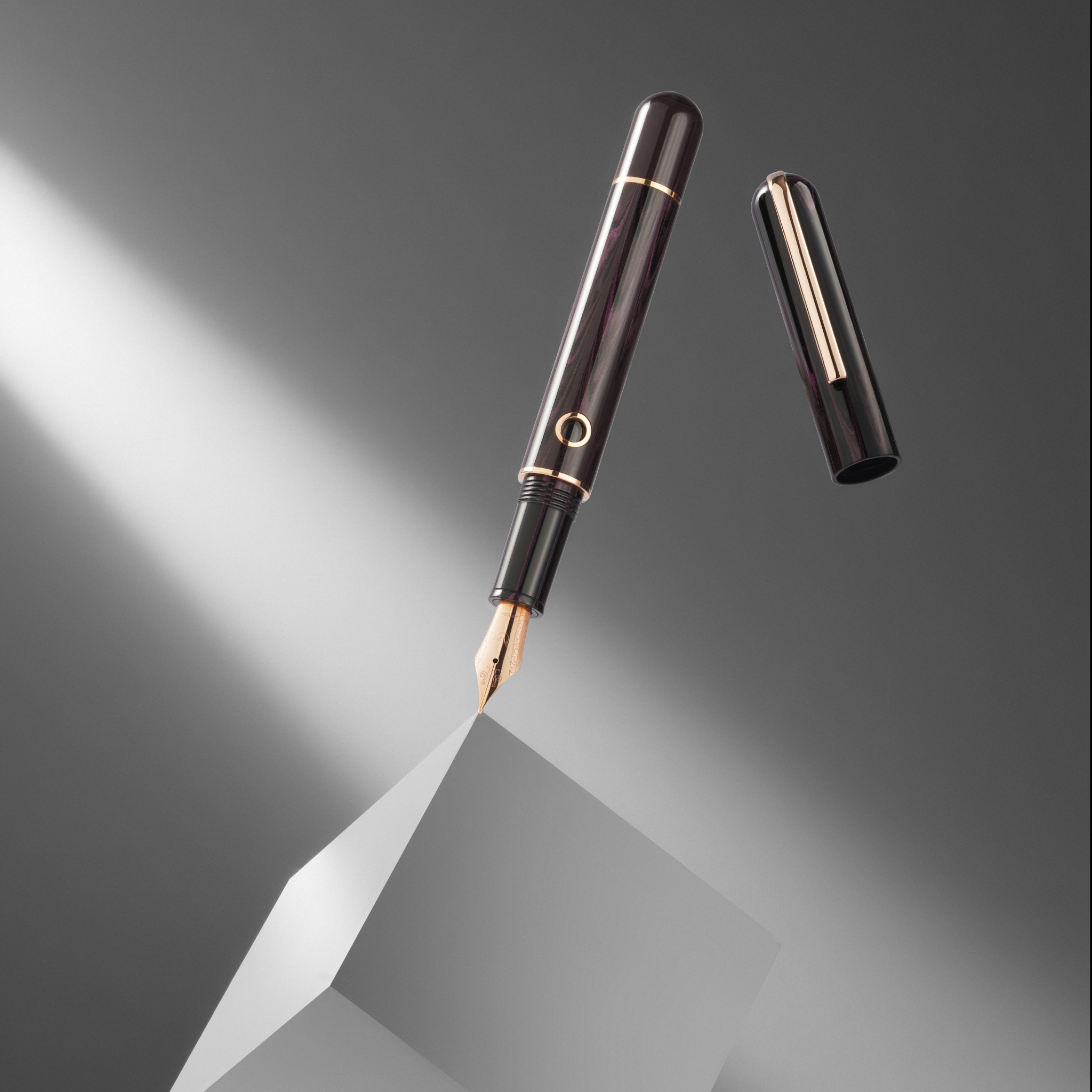 Nahvalur Nautilus Stylophora Berry Fountain Pen Collection