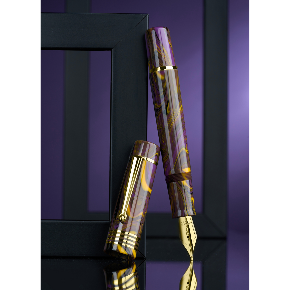 Delta Neo Gallery Iris Gold Trim Fountain Pen