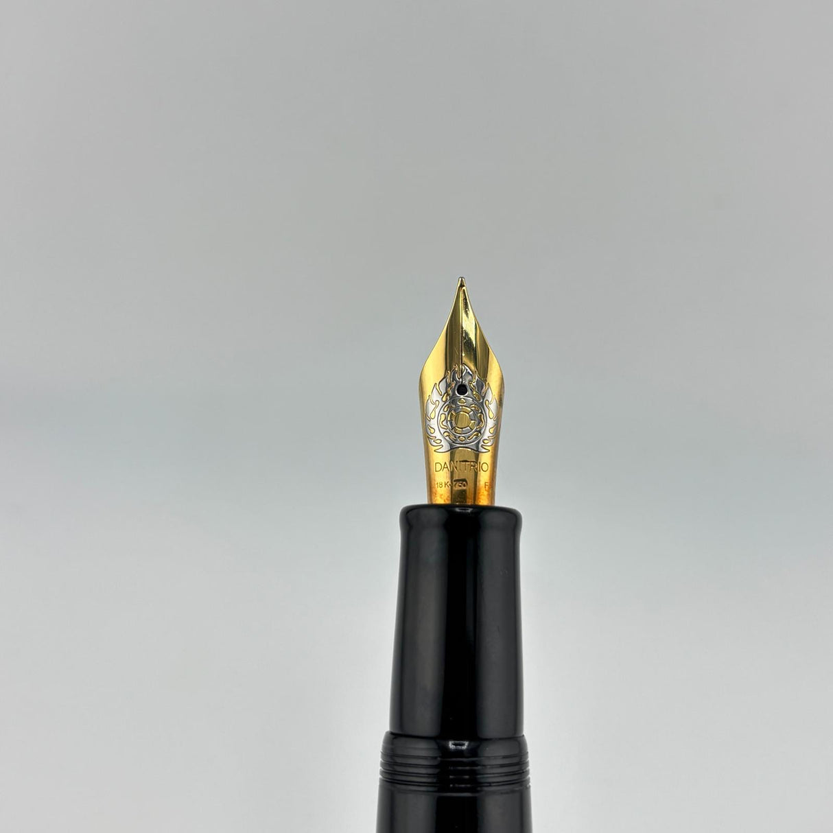 Danitrio Huge Black Ebonite 18K750 Gold Nib - Fountain Pen
