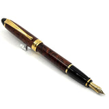 Aurora Ipsilon Deluxe Turtle Brown Fountain Pen