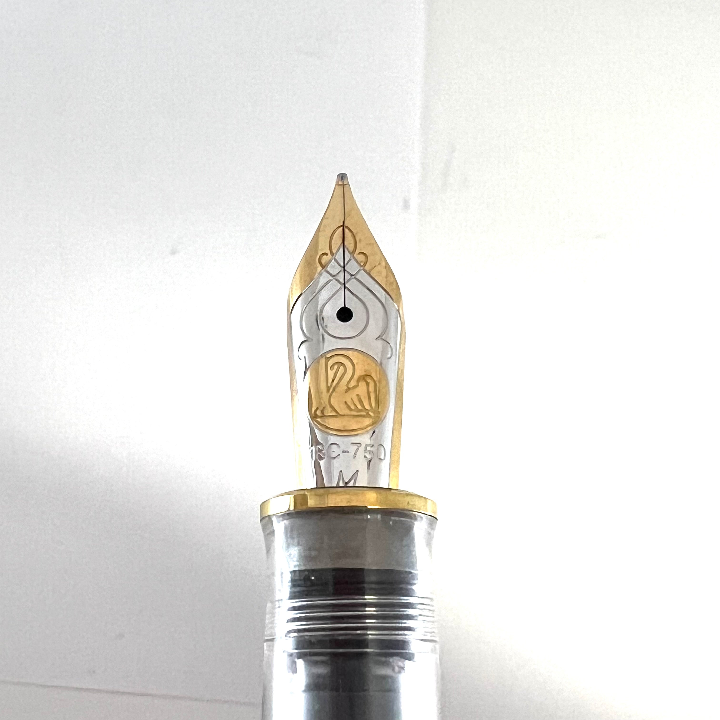 Pelikan M800 Clear Demonstrator Fountain Pen - Engraved Names of