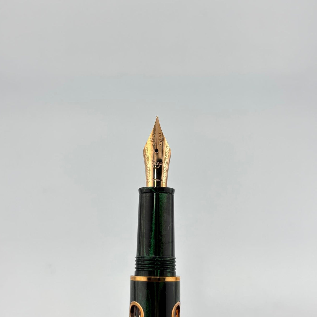 Nahvalur Nautilus Chelonia Green - Fountain pen