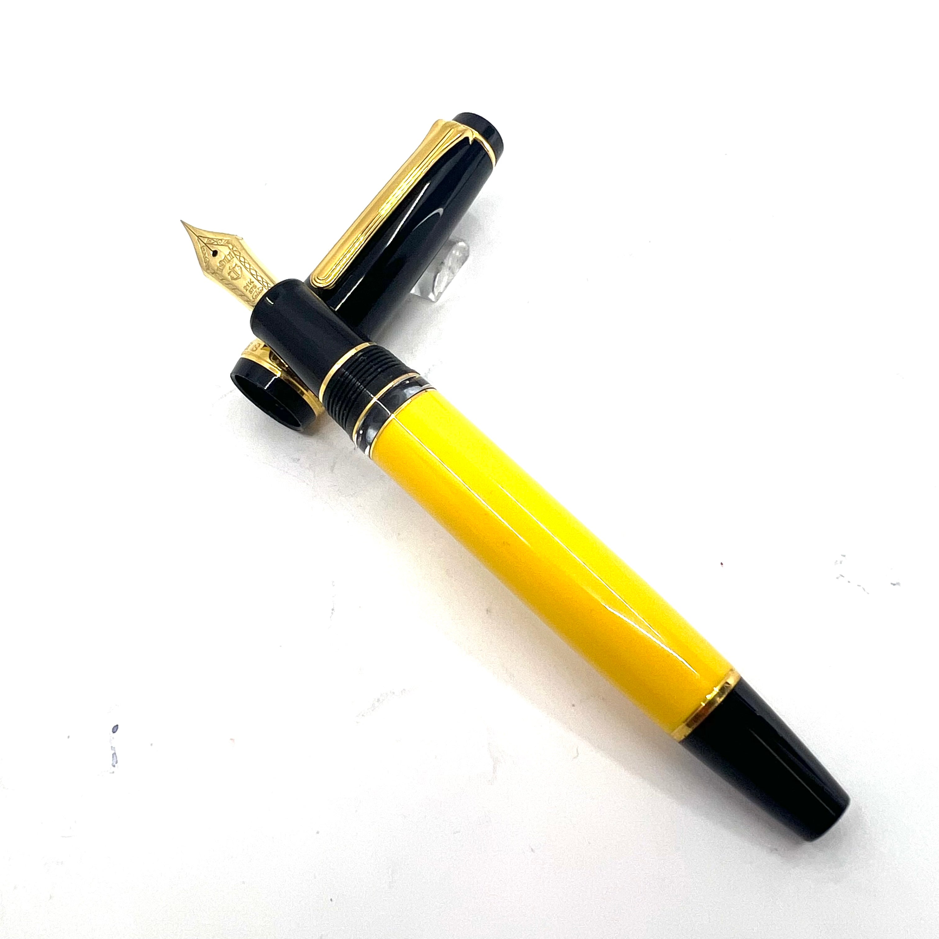 Sailor Pro Gear Realo Special Limited Edition for Nibs.com 22nd