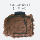 Yama-guri, Brown Wild Chestnut Iroshizuku Ink (15 ml) by Pilot