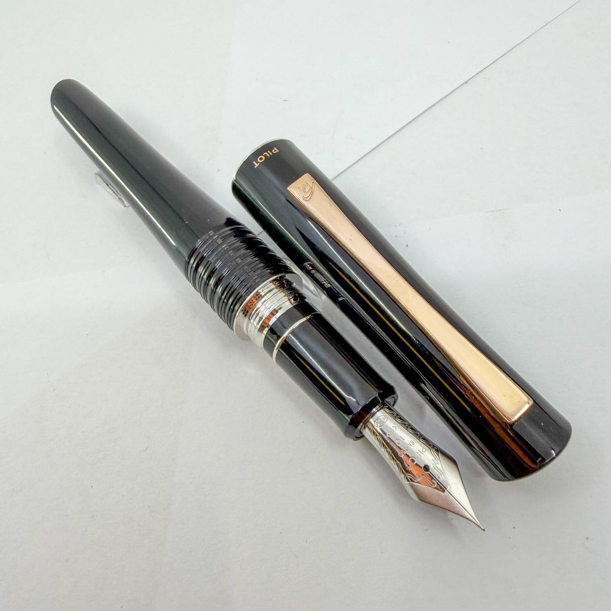 Pilot Black Lacquered Bamboo Metal Oversized Fountain  Pen - Fine 18kt Gold Nib