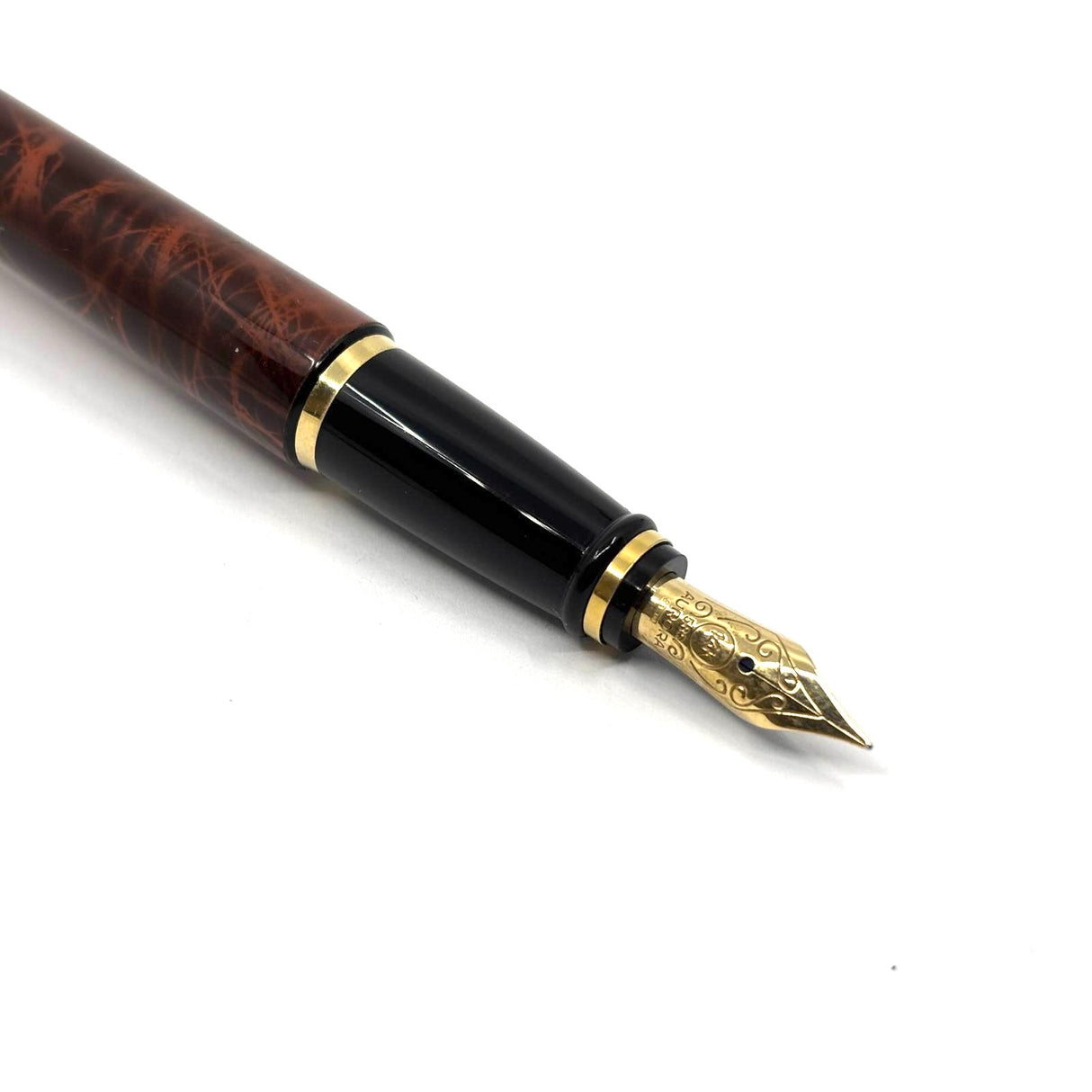 Aurora Ipsilon Deluxe Turtle Brown Fountain Pen