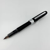 Platinum Plaisir Made in Japan  - Fountain Pen