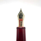 Platinum #3776 Bourgogne Burgundy GT Transparent Fountain Pen - Broad 14kt Gold Nib