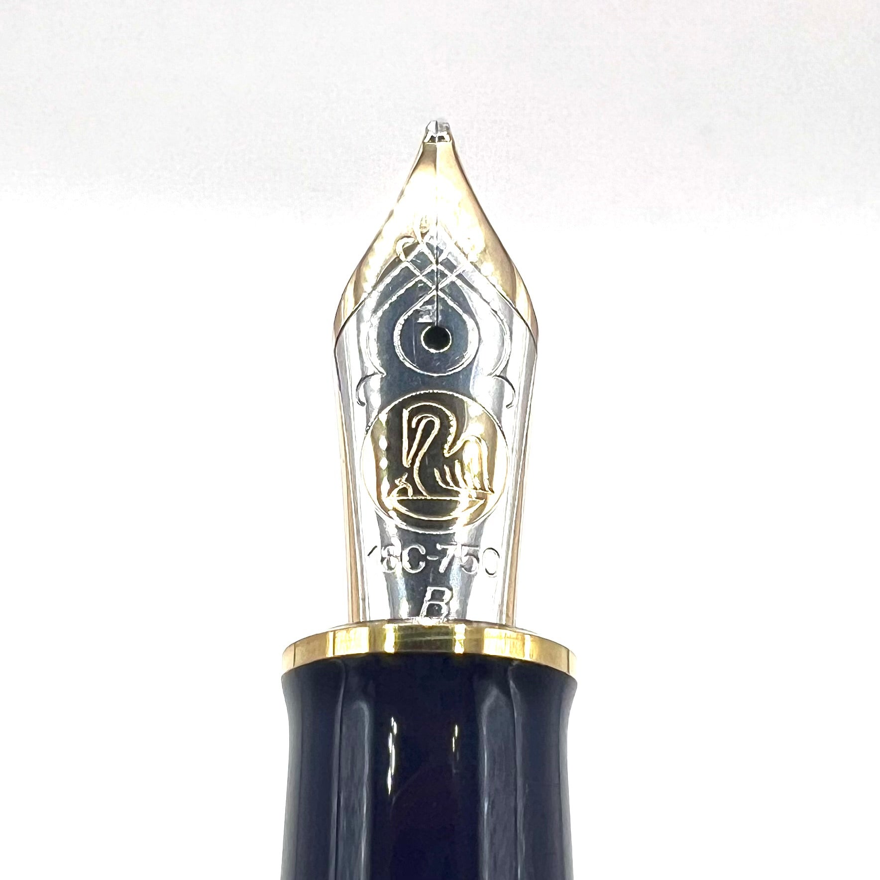 Pelikan M800 Stone Garden Fountain Pen – Fountain Pen Hospital