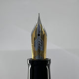 OMAS Doue Facetted Large Paragon Fountain Pen - Sterling Silver Cap - Fine 18kt Gold Nib