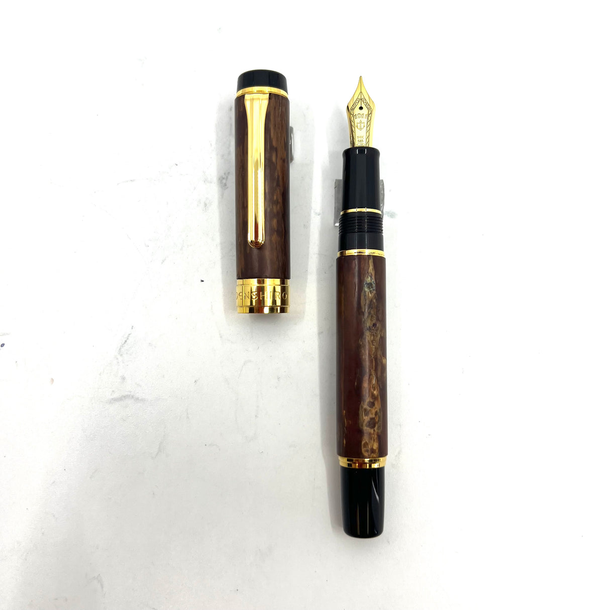 Demonstrator Fountain Pen Sailor Profit Kurogane Sailor Profit