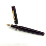 Nakaya Decapod Writer Aka-Tamenuri ST Fountain Pen RARE!