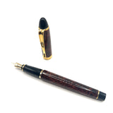 Aurora Turtle Brown Lacquer Ipsilon Deluxe Fountain Pen - Medium 14kt Gold Nib