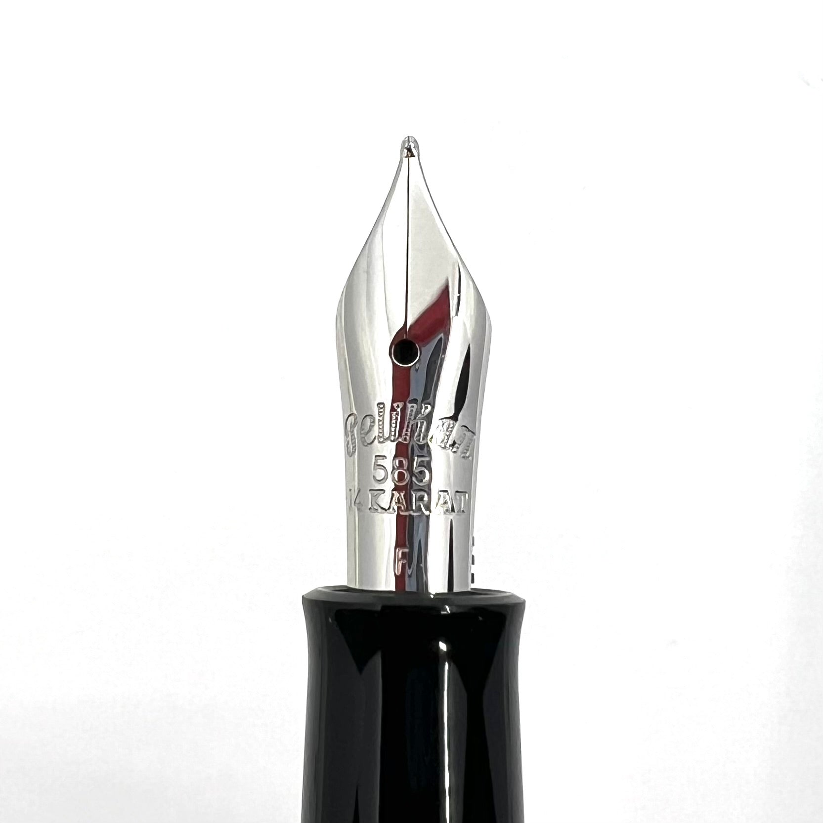 Pelikan M101N Lizard Special Edition Fountain Pen – Fountain Pen