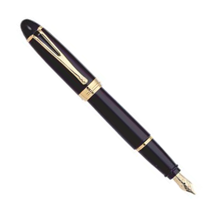 Aurora Ipsilon De Luxe Black - Fountain Pen (14Kt Nib)