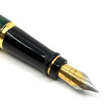 Waterman Expert  Green/Black Marbled Fountain Pen