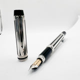 Waterman Night & Day Silver-Plated Fountain Pen - Fine 18kt Gold Nib