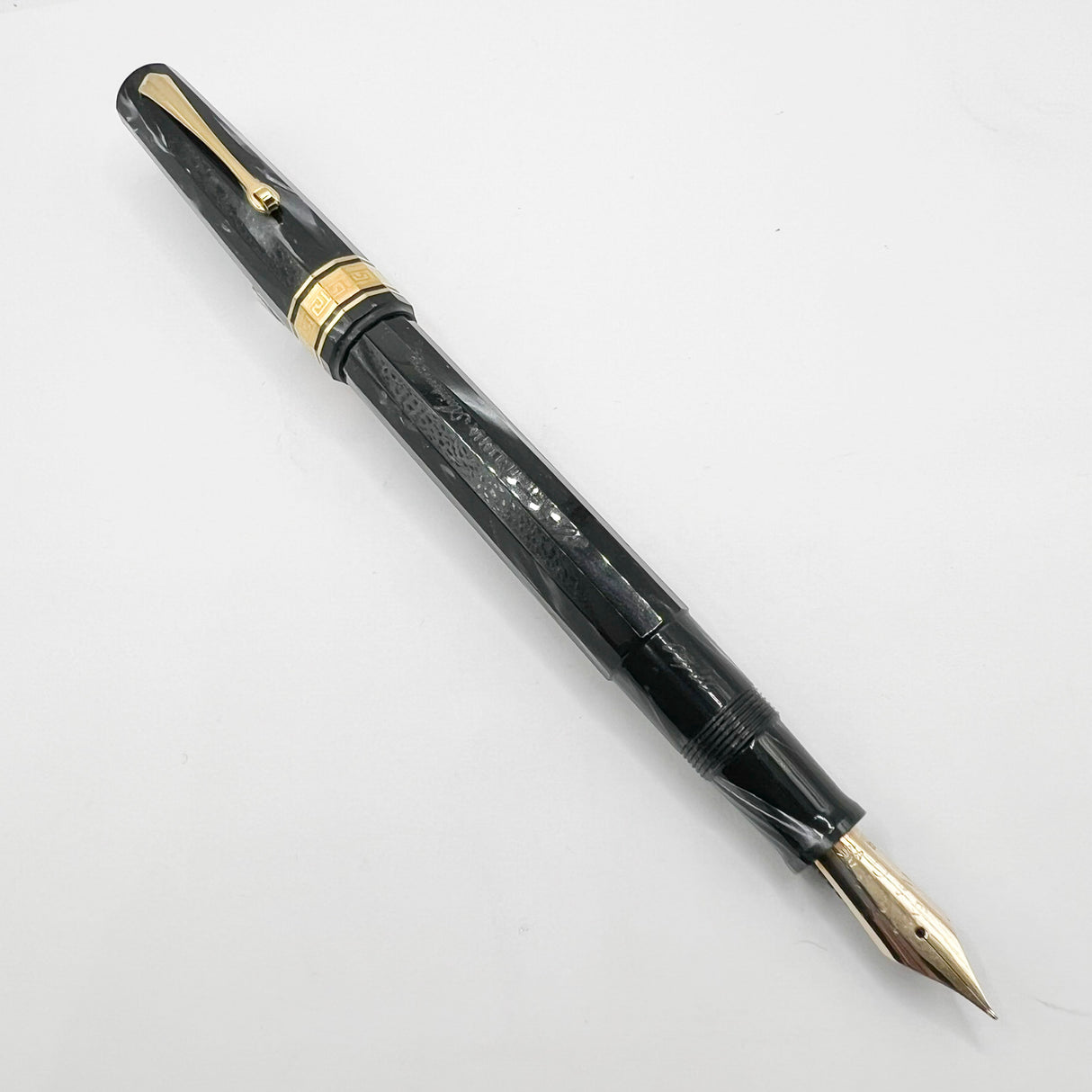 OMAS 80th Anniversary Limited Edition Paragon "Platinum" Celluloid (2004) Fountain Pen #09/40 - EXTRA FINE EXTRA FLESSIBLE 14kt Gold Nib!