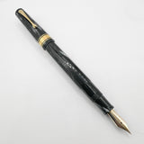 OMAS 80th Anniversary Limited Edition Paragon "Platinum" Celluloid (2004) Fountain Pen #09/40 - EXTRA FINE EXTRA FLESSIBLE 14kt Gold Nib!