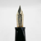 OMAS 80th Anniversary Limited Edition Paragon "Platinum" Celluloid (2004) Fountain Pen #09/40 - EXTRA FINE EXTRA FLESSIBLE 14kt Gold Nib!