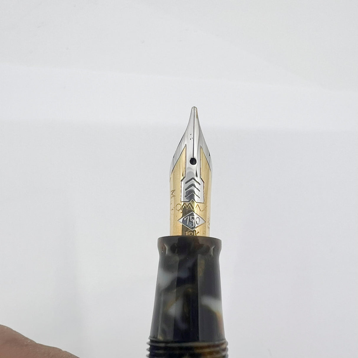 OMAS Princess Paragon Extra Blue Saffron Celluloid Fountain Pen - Semi-Flexible Medium 18kt Gold Nib