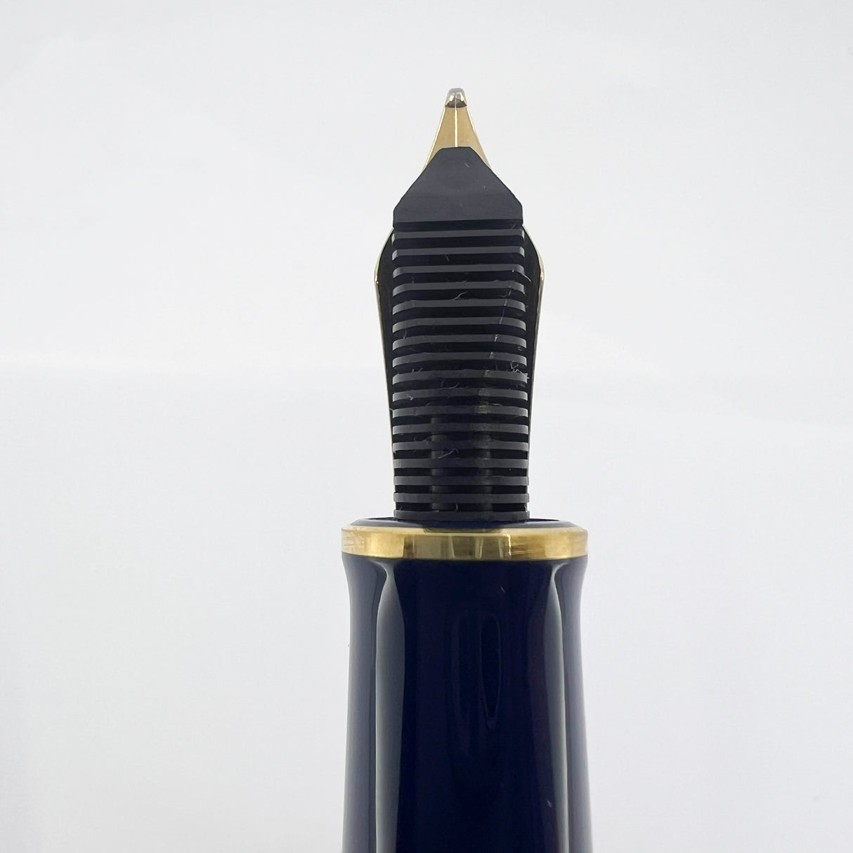 Pelikan M800 Stone Garden Fountain Pen - Medium 18kt Gold Nib
