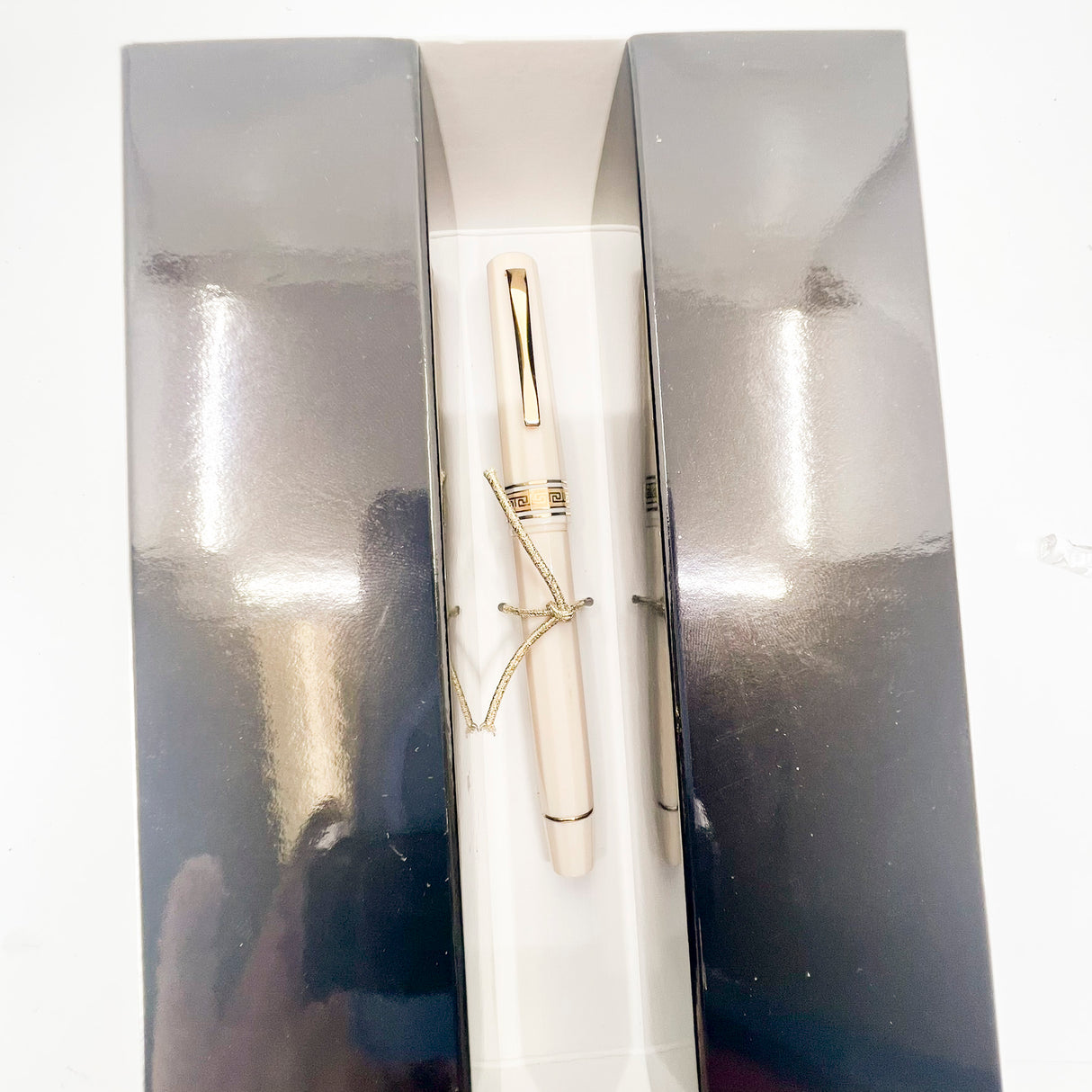 OMAS Ivory Vegetal Resin Bibliotheque Nationale Fountain Pen - Medium 18kt Gold Nib