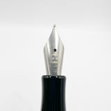 Edelberg (Swiss) Tachys Large Fountain Pen - Semi-Flexible Titanium Fine Nib